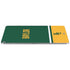 Baylor University BU Split Apple iPad Air Skin