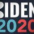 Biden 2020 MacBook Skins