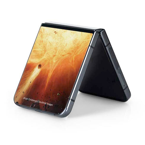 StockTrek Binary System Orbiting near a Black Hole Galaxy Z Flip5 5G Skin