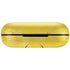 Biohazard Large Amazon Echo Buds Skin