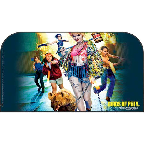 DC Comics Birds of Prey Nintendo Switch 2 (2025) with Joy-Con Skin