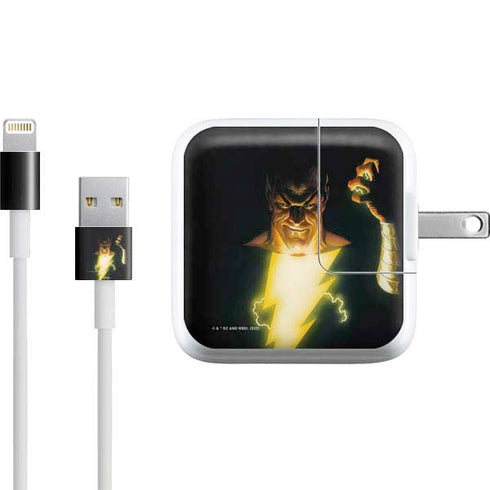 DC Comics Justice Society of America #23 Cover Painting Black Adam Original Art by Alex Ross iPad Charger (10W USB) Skin