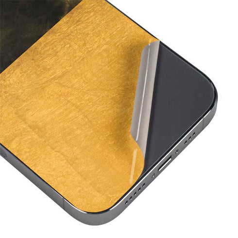 Black and Gold Split Marble iPhone 16 Pro Skin