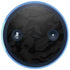 Black Shadow Camo Amazon Echo Skin