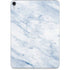 Blue Marble Apple iPad Pro Skin