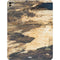 Blue Resin Wood iPad Pro 13in M4 (2024) Skin