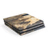 Blue Resin Wood PlayStation PS4 Skins