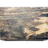 Blue Resin Wood HP ZBook Fury 16 G10 Skin