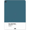 Bluesteel Color Palette Apple iPad Air Skin