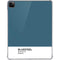 Bluesteel Color Palette iPad Pro 11in (2024) Clear Case