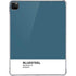 Bluesteel Color Palette iPad Pro 11in (2024) Clear Case