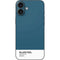 Bluesteel Color Palette iPhone 16 Plus Skin