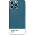 Bluesteel Color Palette iPhone 16 Pro Max Skin