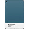 Bluesteel Color Palette iPad Skins