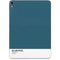 Bluesteel Color Palette Apple iPad Pro Skin