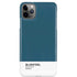Bluesteel Color Palette iPhone Cases