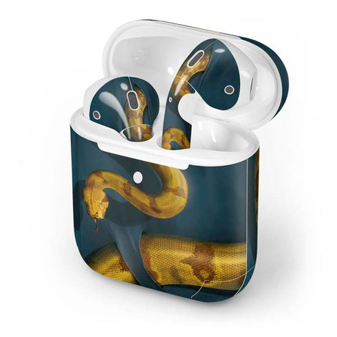 Boa Constrictor by Vincent Hie Apple AirPods 2 Skin