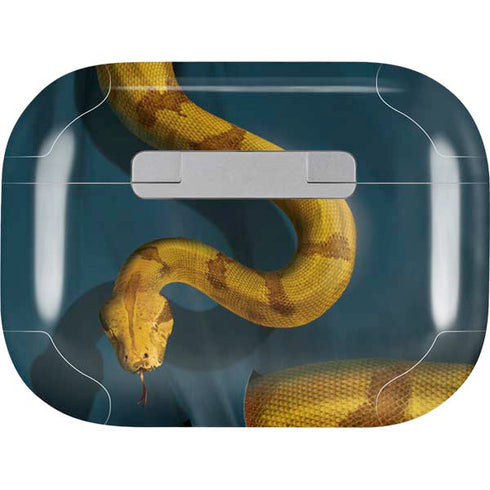 Boa Constrictor by Vincent Hie Apple AirPods Pro Skin