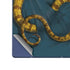 Boa Constrictor by Vincent Hie Galaxy Z Fold6 Skin