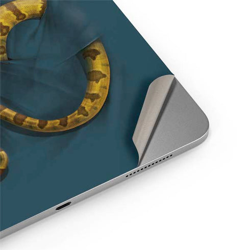 Boa Constrictor by Vincent Hie Apple iPad Air Skin