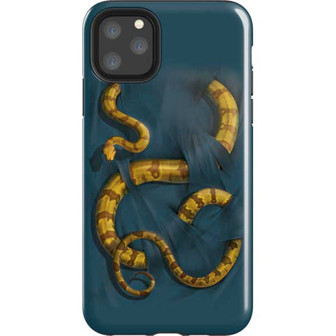 Boa Constrictor by Vincent Hie iPhone Cases