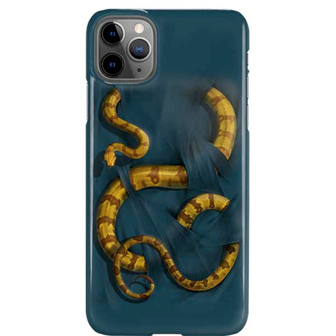 Boa Constrictor by Vincent Hie iPhone Cases