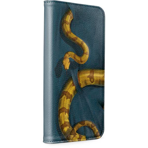 Boa Constrictor by Vincent Hie iPhone 15 Pro Folio Case