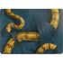 Boa Constrictor by Vincent Hie Apple MacBook Pro 14-inch Skin