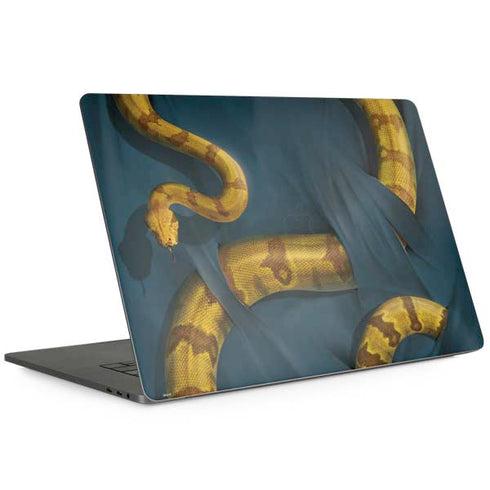 Boa Constrictor by Vincent Hie MacBook Skins