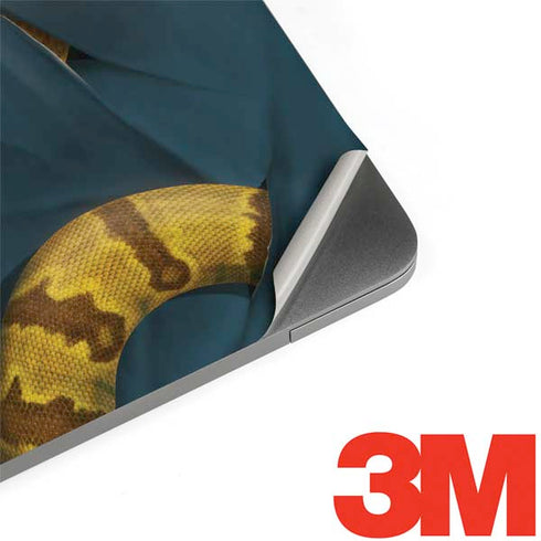Boa Constrictor by Vincent Hie MacBook Skins