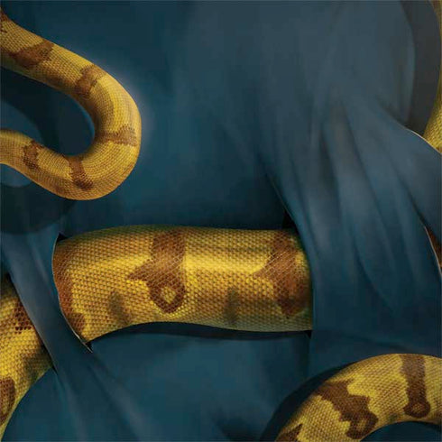 Boa Constrictor by Vincent Hie MacBook Skins