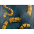 Boa Constrictor by Vincent Hie Surface Laptop 7 13.8in Skin