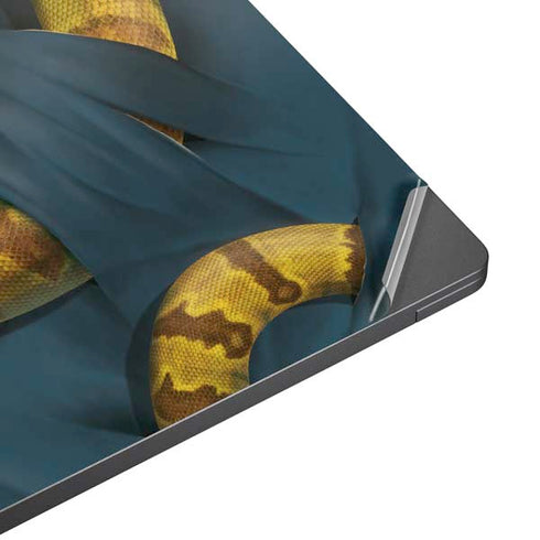 Boa Constrictor by Vincent Hie Surface Laptop 7 13.8in Skin