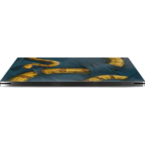 Boa Constrictor by Vincent Hie Dell XPS Skin