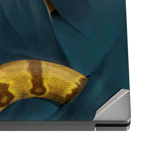 Boa Constrictor by Vincent Hie Dell XPS Skin