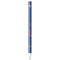 Boise State University Broncos Mascot Apple Pencil (1st Gen, 2017) Skin