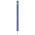 Boise State University Broncos Mascot Apple Pencil (1st Gen, 2017) Skin