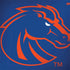Boise State University Broncos Mascot MacBook Skins