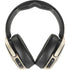Bookworm Fairy by Amy Brown Skullcandy Venue Skin