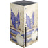 Bookworm Fairy by Amy Brown Xbox Series X Skins