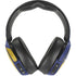 Bosnia and Herzegovina Flag Distressed Skullcandy Venue Skin