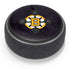 NHL Boston Bruins Distressed Amazon Echo Dot Skin