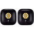 NHL Boston Bruins Distressed PowerBeats Pro Skin