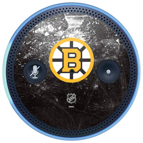 NHL Boston Bruins Iced Amazon Echo Skin