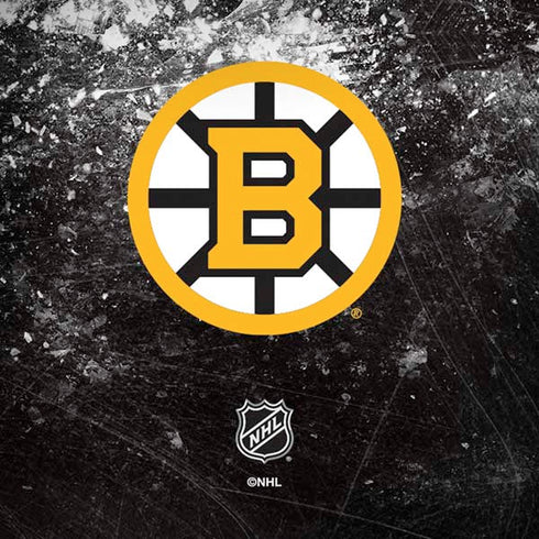 NHL Boston Bruins Iced Amazon Echo Skin