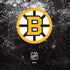 NHL Boston Bruins Iced Amazon Echo Skin