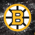 NHL Boston Bruins Iced Dell Inspiron Skin