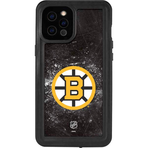 NHL Boston Bruins Iced iPhone 12 Pro Max Waterproof Case