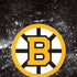 NHL Boston Bruins Iced iPhone XR Skin
