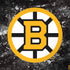 NHL Boston Bruins Iced Dell Latitude Skin